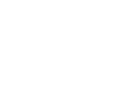 Evolution games at King Solomon Casino